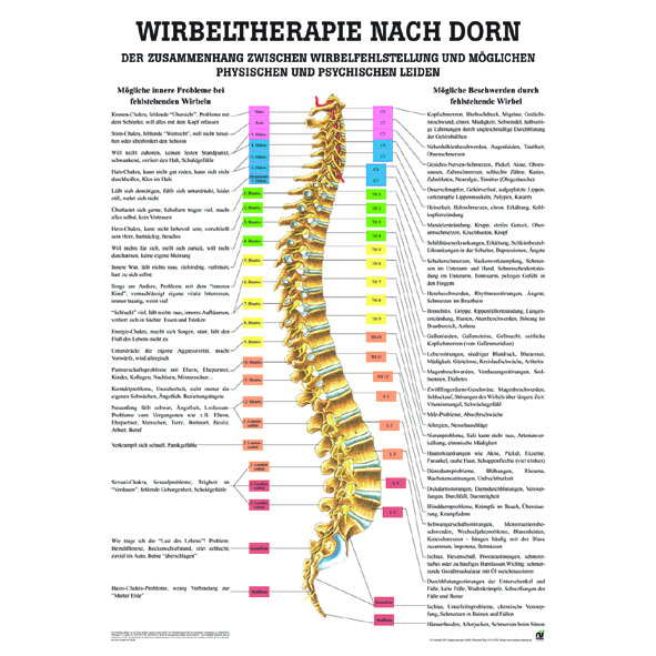 Anatomische Lehrtafel "Wirbeltherapie nach Dorn 34 x 24"